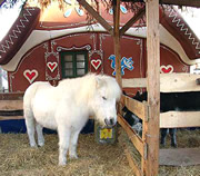 Animals at the Prague Christmas Markets