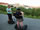 Prague Segway Movie Tour, Lesser Town (Mala Strana), Prague 1