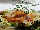 U Maliru Restaurant, Lesser Town, Prague 1