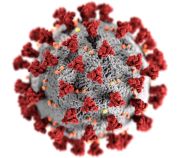 Coronavirus (COVID-19) Information for Prague, Czech Republic