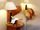 Beseda Hotel - Mini Photo