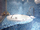Royal Palace Hotel - Mini Photo 10