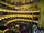 Advent Concert mini photo 4