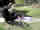 REMOVED - AK47 Kalashnikov Shooting mini photo 4