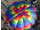 Hot Air Balloon Flight mini photo 4