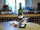 Piknik Park Restaurant mini photo 4