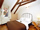 Old Town Vejvodova Apartments mini photo 5