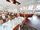 REMOVED - Florentina Boat Hotel mini photo 6
