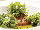 REMOVED - Restaurant Fish mini photo 6
