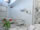 U Cerne Hvezdy Hotel - Mini Photo 7