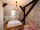Merlin River Hotel - Mini Photo 8