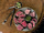 Mlynec Restaurant mini photo 8