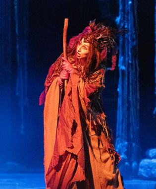 Rusalka at the Prague State Opera in Prague - Photo 2. Opera by Antonn Dvořk