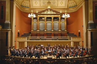 Czech National Symphony Orchestra at Rudolfinum: Dvorak Hall in Prague - Photo 3