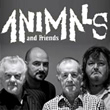 The Animals and Friends - Concert