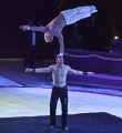 Cirkus 2025 - Circus Festival