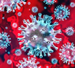Coronavirus (COVID-19) News for Prague