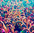 Holi Open Air Festival 2021
