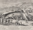 Michelangelo to Callot: Art of Mannerist Printmaking - Exhibition