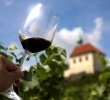 Pinot Noir Day at St. Claire's Vineyard