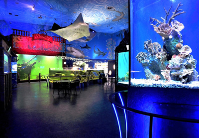 Sea World - Photo 