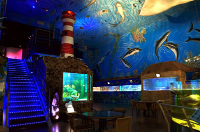 Sea World - Photo 2