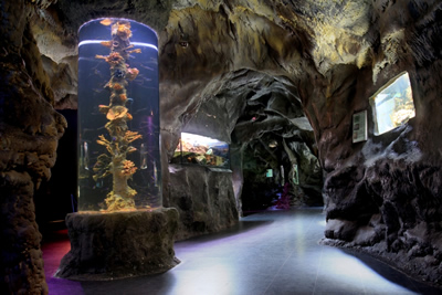 Sea World - Photo 3