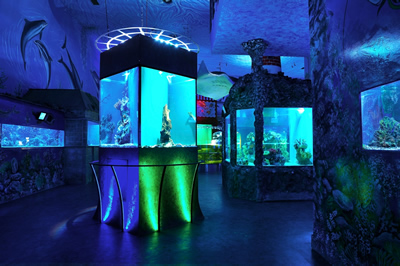 Sea World - Photo 4